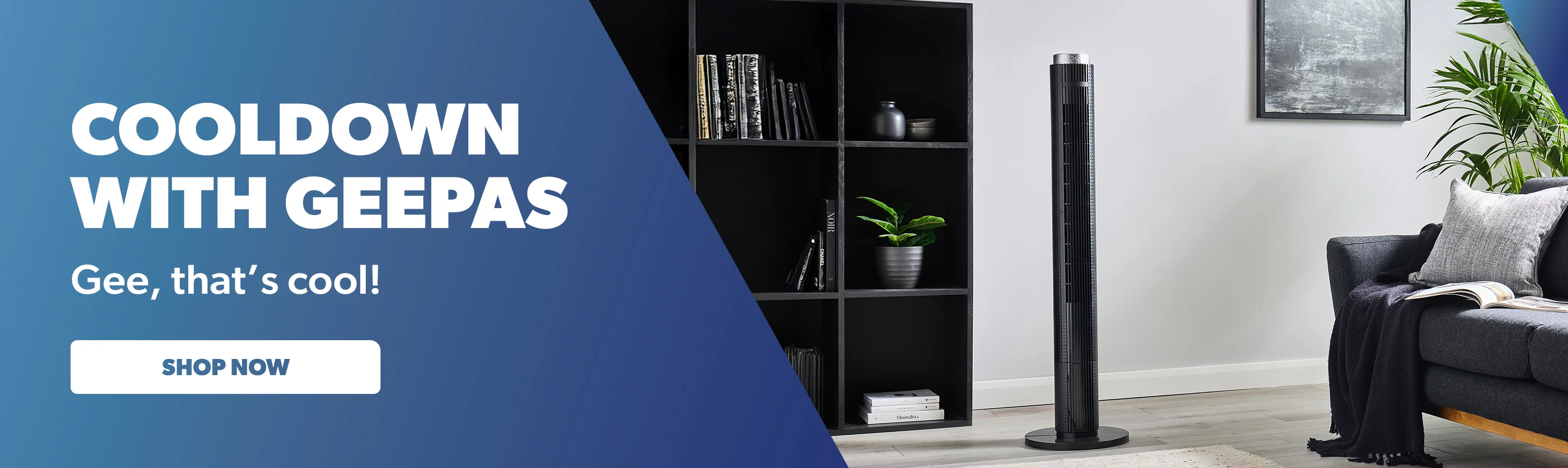 Upgrade Your Home for Less